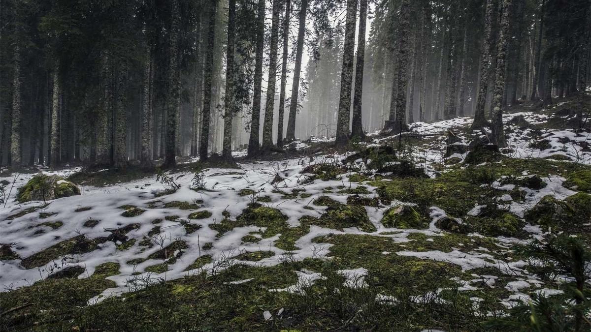 Achtsames Essen für mehr Bewusstheit und Genuss