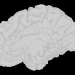 achtsamkeitstechniken zur stressreduktion 2025 - Achtsamkeitstechniken zur Stressreduktion 2025: Wi