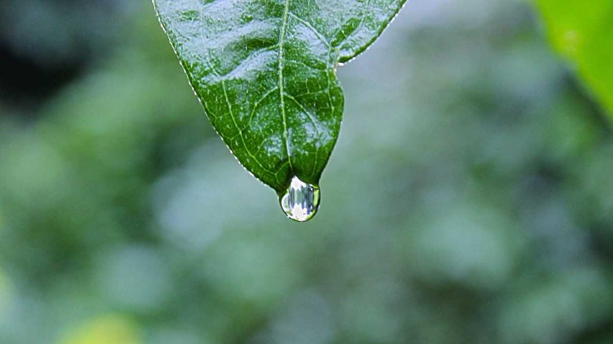 Der Weg zur Selbstakzeptanz und inneren Frieden