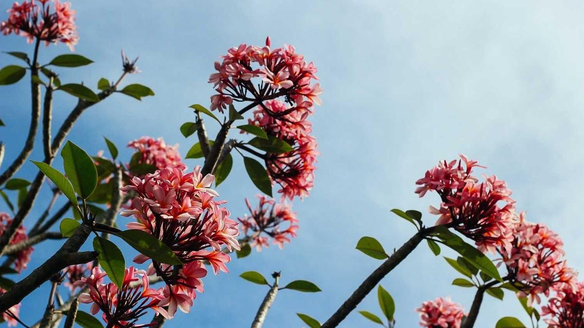 Die Bedeutung von Respekt für die eigene Psyche