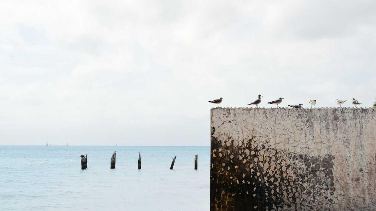 Finde deine innere Stärke durch Selbstreflexion