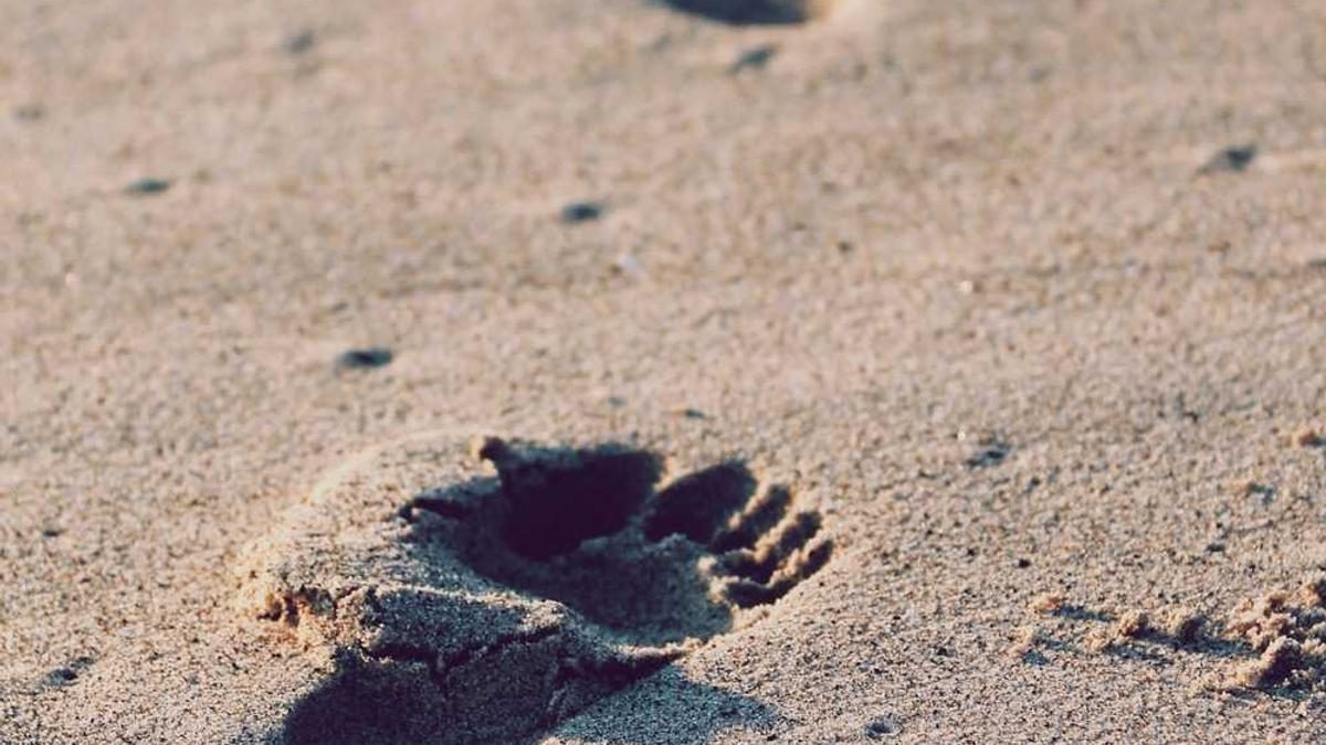 Rituale für mehr Gelassenheit im Alltag