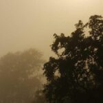 Soziale Verbindungen: Der Schlüssel zu Wohlbefinden