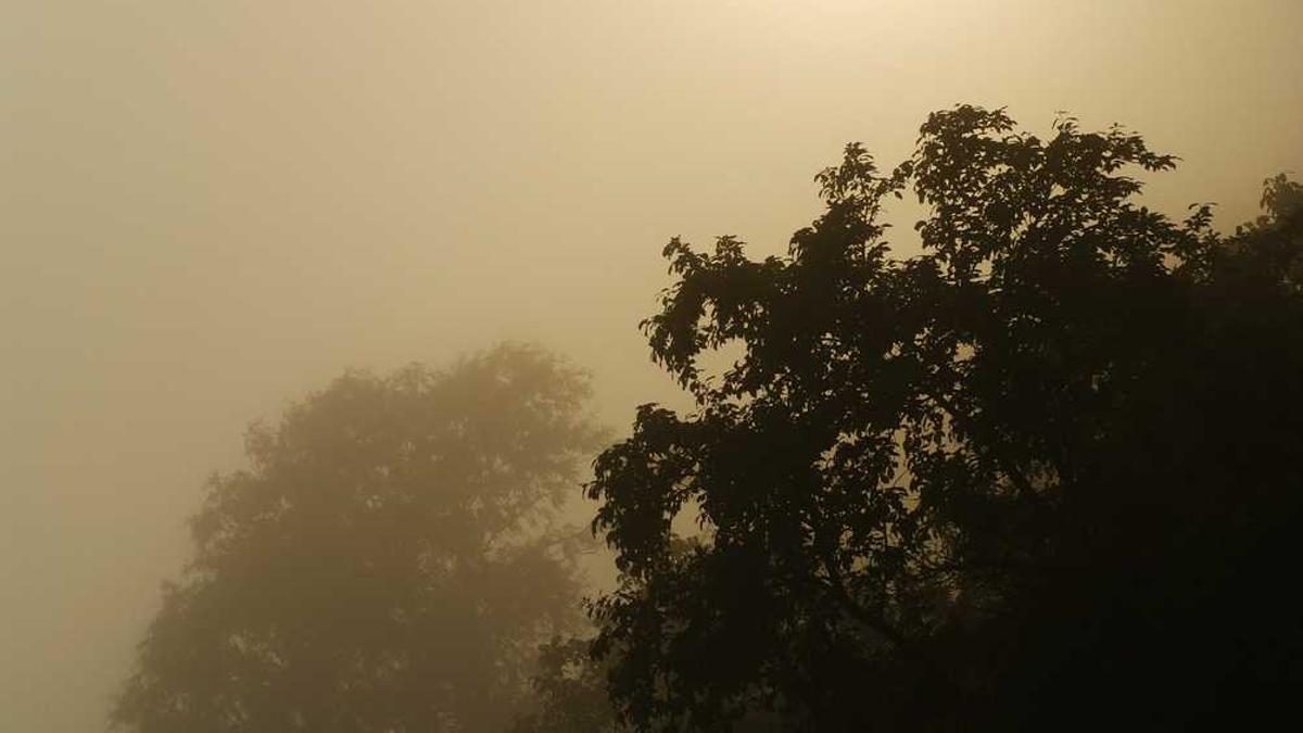 Soziale Verbindungen: Der Schlüssel zu Wohlbefinden