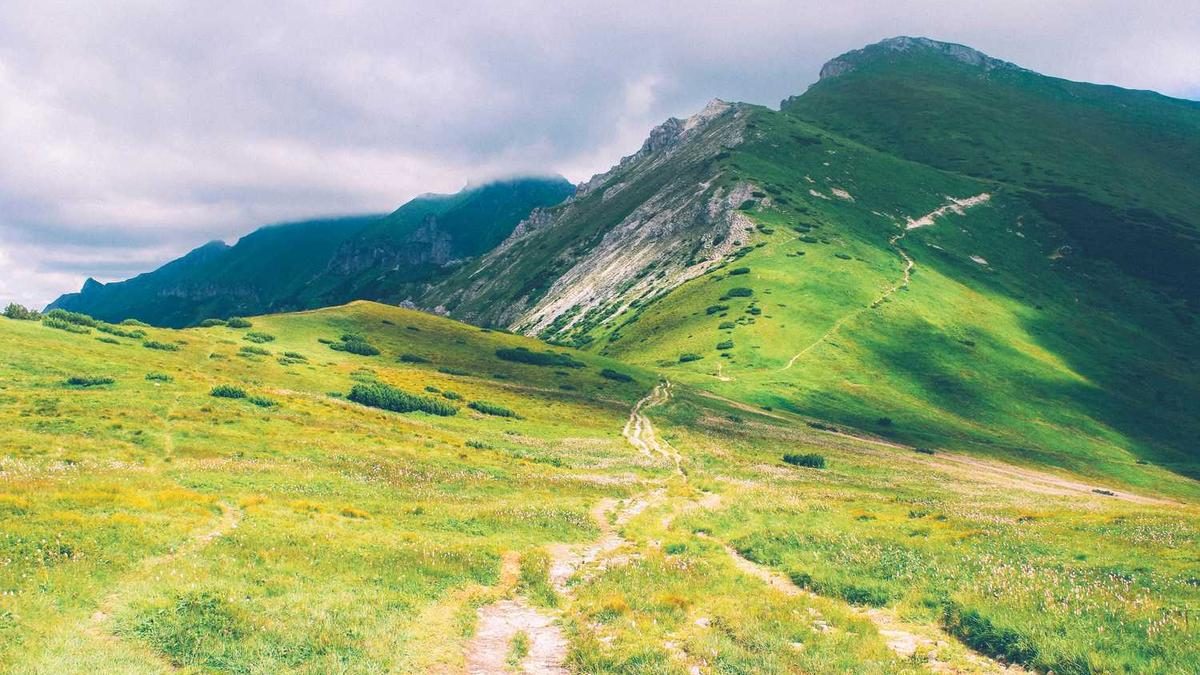 Wie du deine Träume zur Realität machst