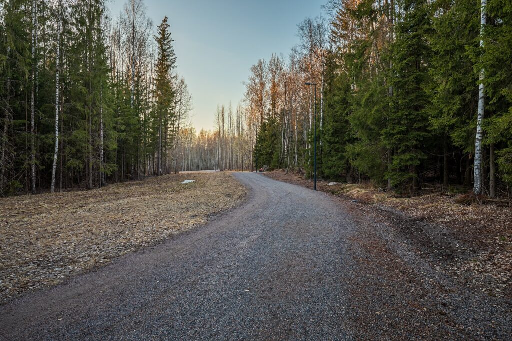 Schmaler Kiesweg führt durch lichten Wald, im Hintergrund fällt Morgenlicht zwischen die Stämme