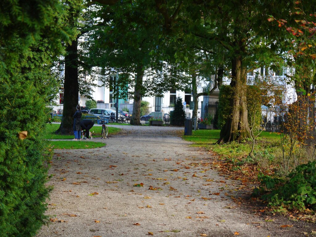 Schmaler Kiesweg führt durch einen ruhigen Park mit kahlen Bäumen am Rand